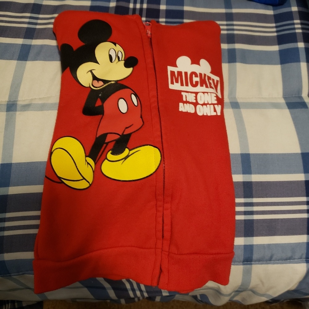 Mickey Mouse sweater